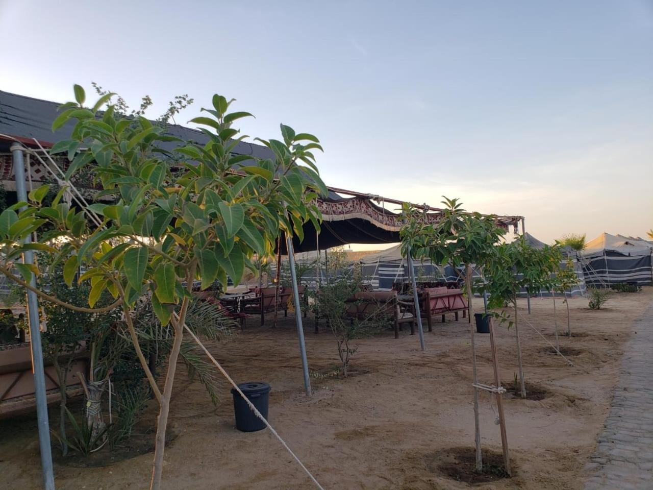 ホテル Royal Tours Permanent Camp ウムラッジ エクステリア 写真